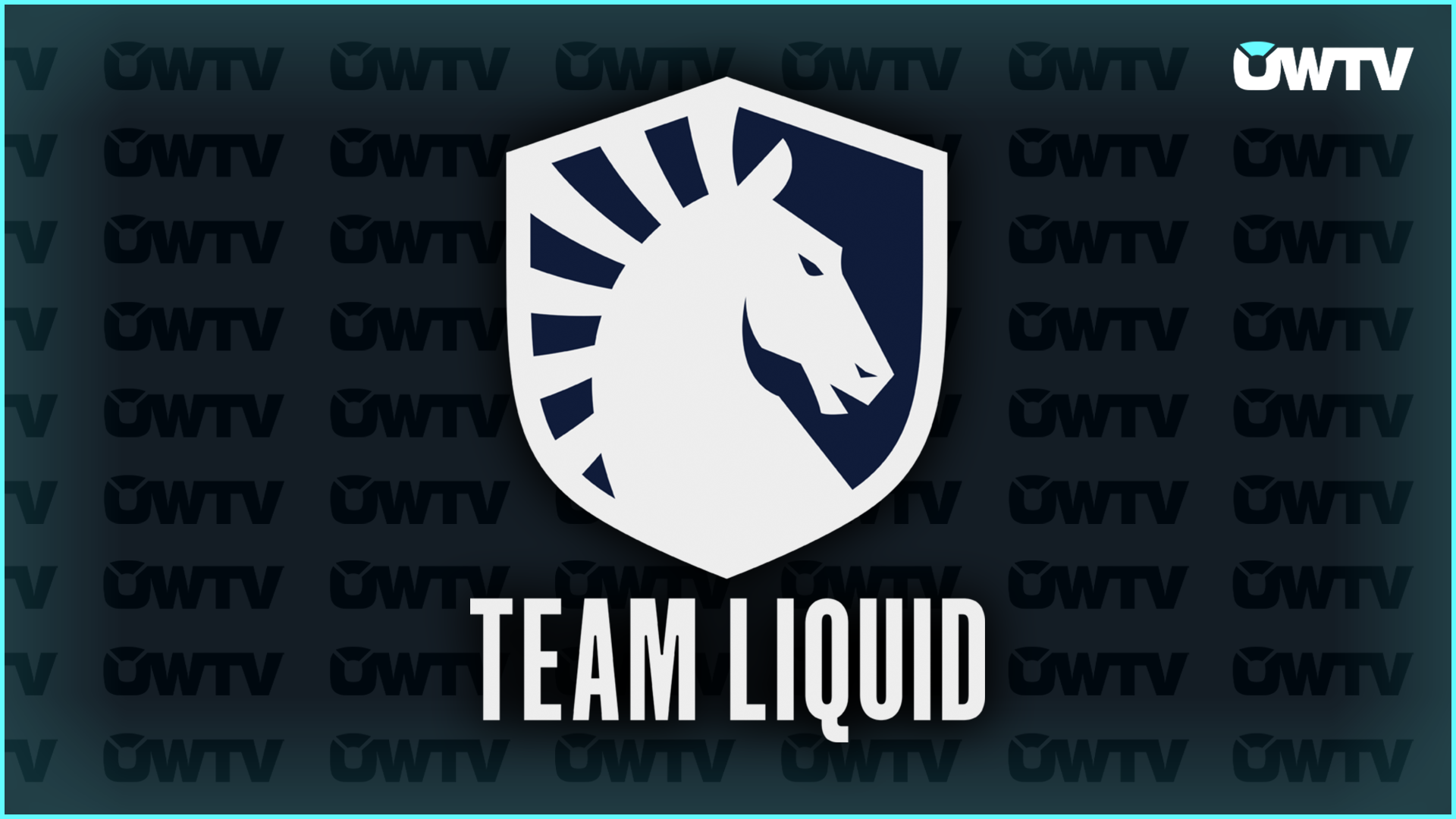 Team Liquid