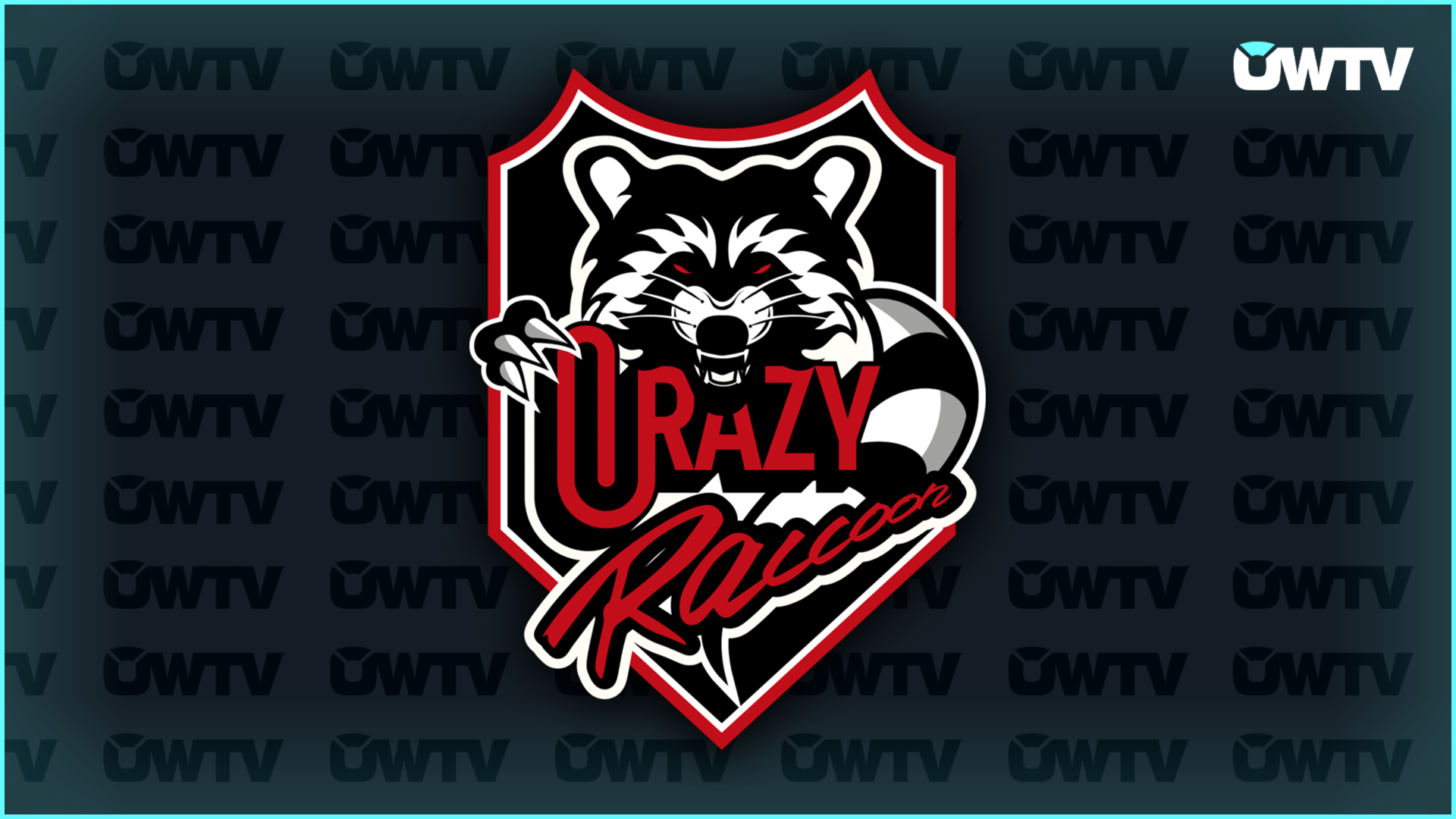 Crazy Raccoon logo graphic